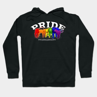 LGBT Lion Pride Hoodie